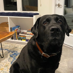 Alexa a ajouté une photo de son achat