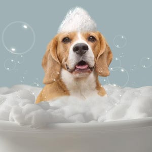 Chloe ha añadido una foto de su compra