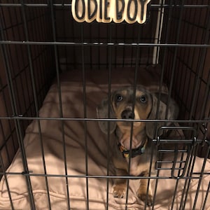 E added a photo of their purchase