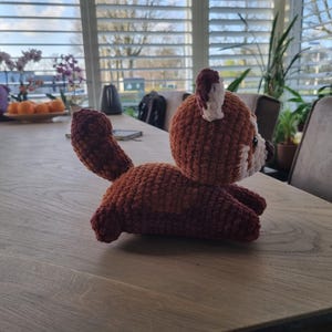 Agnes added a photo of their purchase