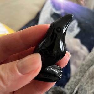 Dianne added a photo of their purchase