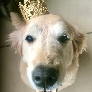 Sheila ha añadido una foto de su compra