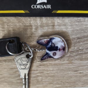 Choquet added a photo of their purchase