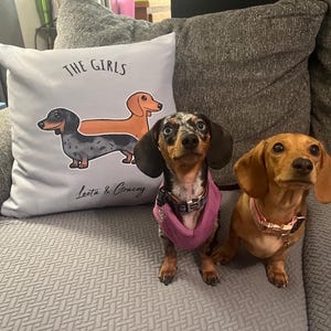 Ashlee ha añadido una foto de su compra