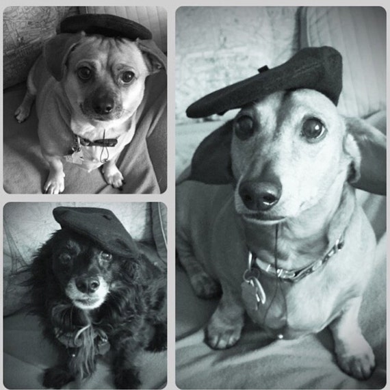 Customer photo of a pet with the Beret for small pet Cat Dog Hedgehog Vogue