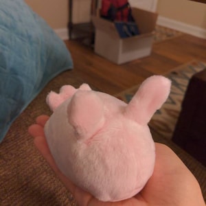Samantha added a photo of their purchase