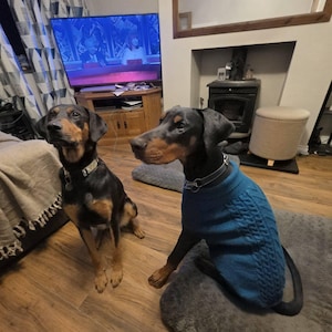 Aileen added a photo of their purchase