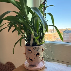 Gentri ha añadido una foto de su compra