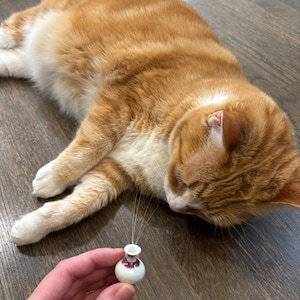 Caroline heeft een foto van de aankoop toegevoegd