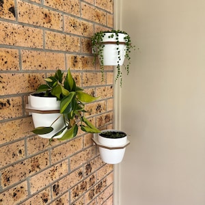Nicholas added a photo of their purchase