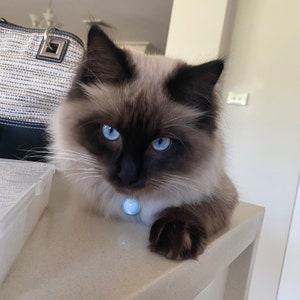 Alina a ajouté une photo de son achat
