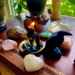 Paula added a photo of their purchase