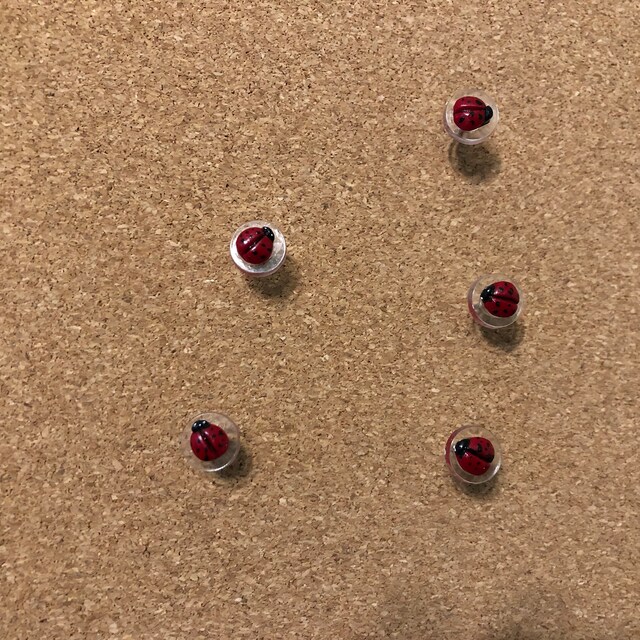 Ladybugs-tiny 3/16