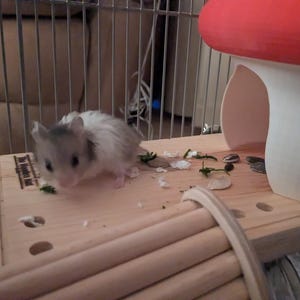 Connie added a photo of their purchase