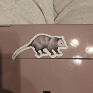 Jena added a photo of their purchase