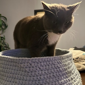 Karen added a photo of their purchase