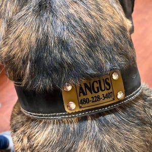 Kally added a photo of their purchase