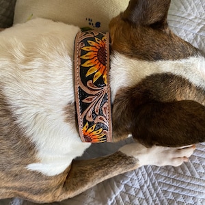 Michele added a photo of their purchase