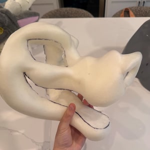 Lemon added a photo of their purchase