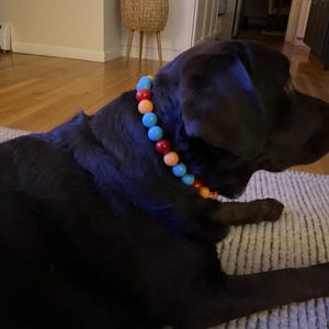 Kerry added a photo of their purchase