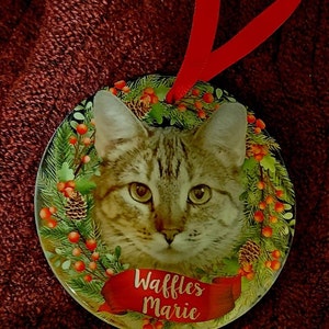 Karen added a photo of their purchase
