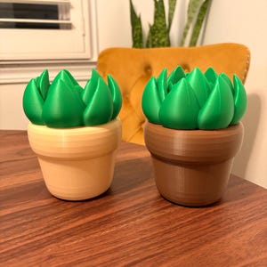 Claudia added a photo of their purchase