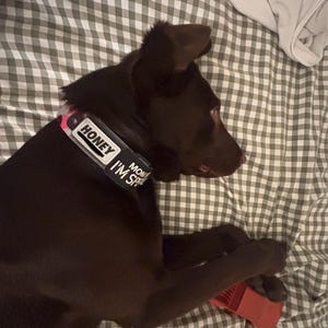 Chloe added a photo of their purchase