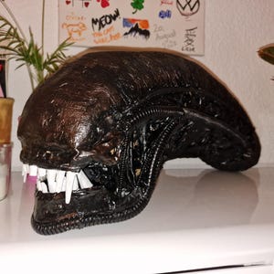 Miriam added a photo of their purchase