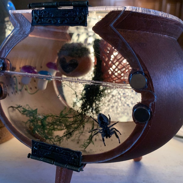 Jumping Spider Enclosure. Small Cauldron Acrylic Glass Enclosure for Spiders, Small Tarantulas