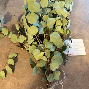 Stacy added a photo of their purchase