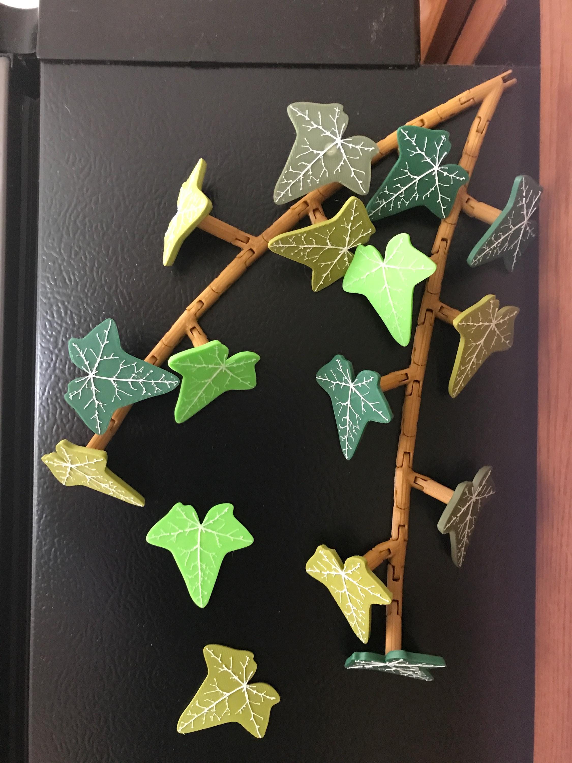 Magnetivy - English Ivy Fridge Magnet with Articulating Stems | ForgeCore Home Kitchen Refrigerator Decor Ivy Vine Leaf Magnets Magnetic
