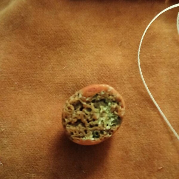 Coral Bracelet