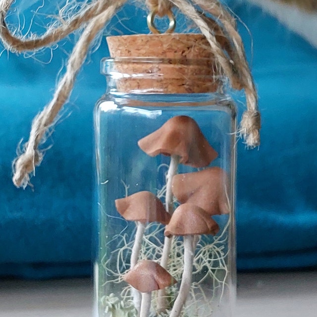 Mushroom Terrarium Jar, Mushroom Ornament Christmas, Mushroom