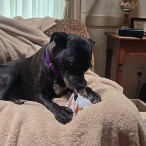 Carl added a photo of their purchase