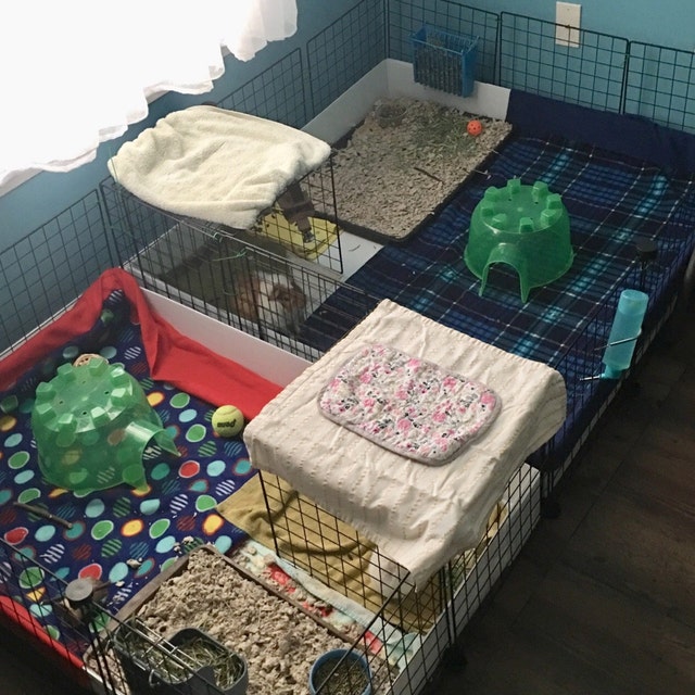 Custom Fleece Cage Liner Guinea Pig Fleece Guinea Pig Cage Etsy