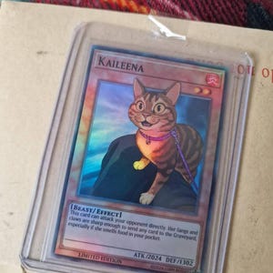 Etsy-koper heeft een foto van de aankoop toegevoegd