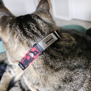 Abby added a photo of their purchase