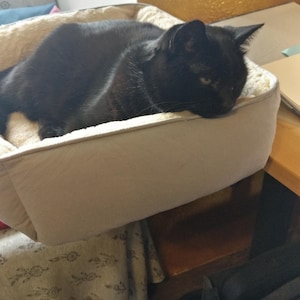 Silvia added a photo of their purchase