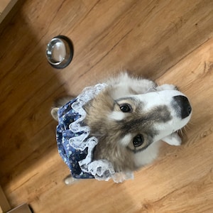 Alexa added a photo of their purchase