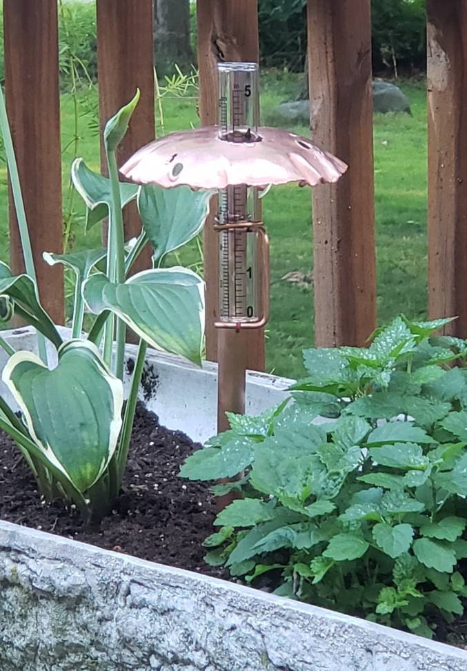 Copper Mushroom Rain Gauge