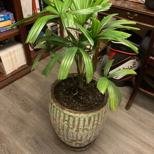 craig added a photo of their purchase