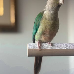 mo lade till en bild av sitt köp