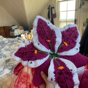 Eva added a photo of their purchase