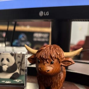 Bernadette added a photo of their purchase