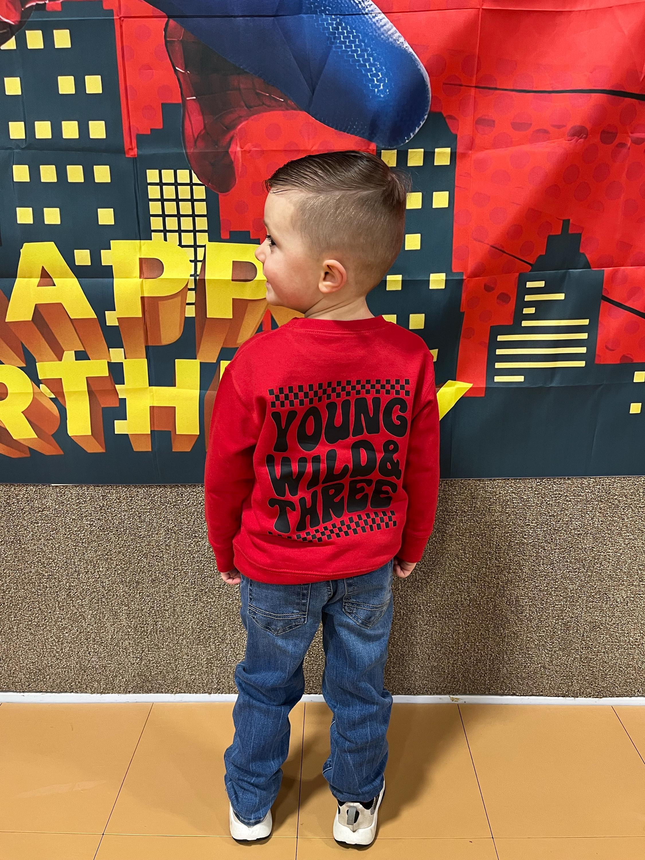 Young wild and three, Boys 3rd third birthday, birthday sweatshirt, boy birthday shirt, 3 year old birthday shirt, 3rd birthday gift boy