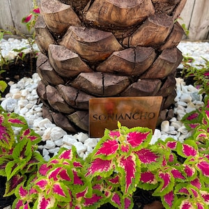 Sonoma added a photo of their purchase