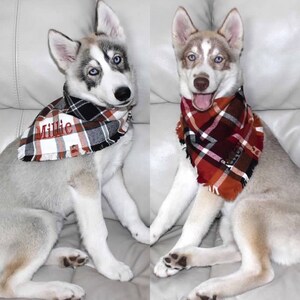 Dog Scarf Plaid Dog Scarf Fall Plaid Scarf Fall Bandana Dog | Etsy