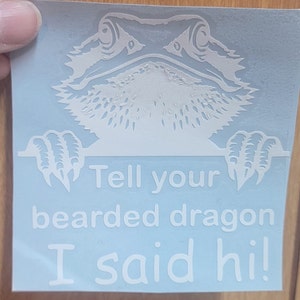 Peeking Bearded Dragon Head | Svg Png Dxf Eps Pdf | Vector Graphic Cut ...