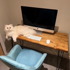 Nicholas added a photo of their purchase
