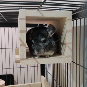 Iris added a photo of their purchase